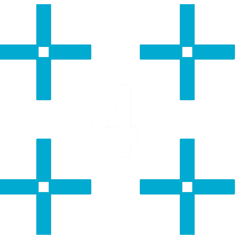 4 point inspection icon